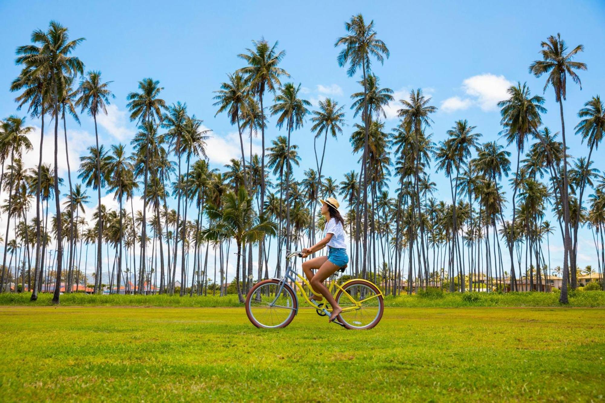 منتجع كاواي شيراتون كوكونت بيتش Kauai المظهر الخارجي الصورة